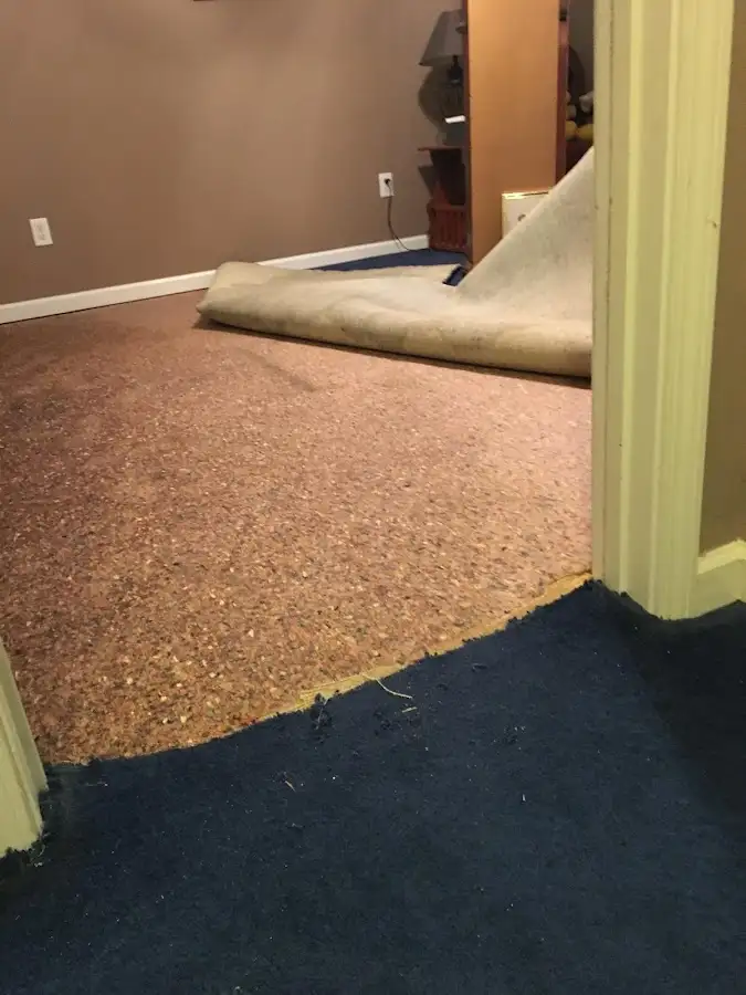 Carpet pad removal revealing water damage during Drying & Dehumidification in Potomac