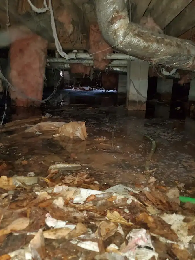 Crawl space flood assessment for Leak Detection & Repair in Potomac