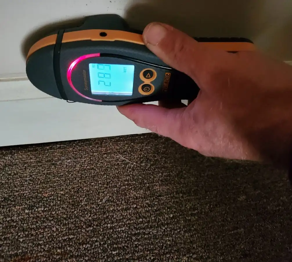 Moisture detection at baseboard during Mold Inspection & Testing in Potomac